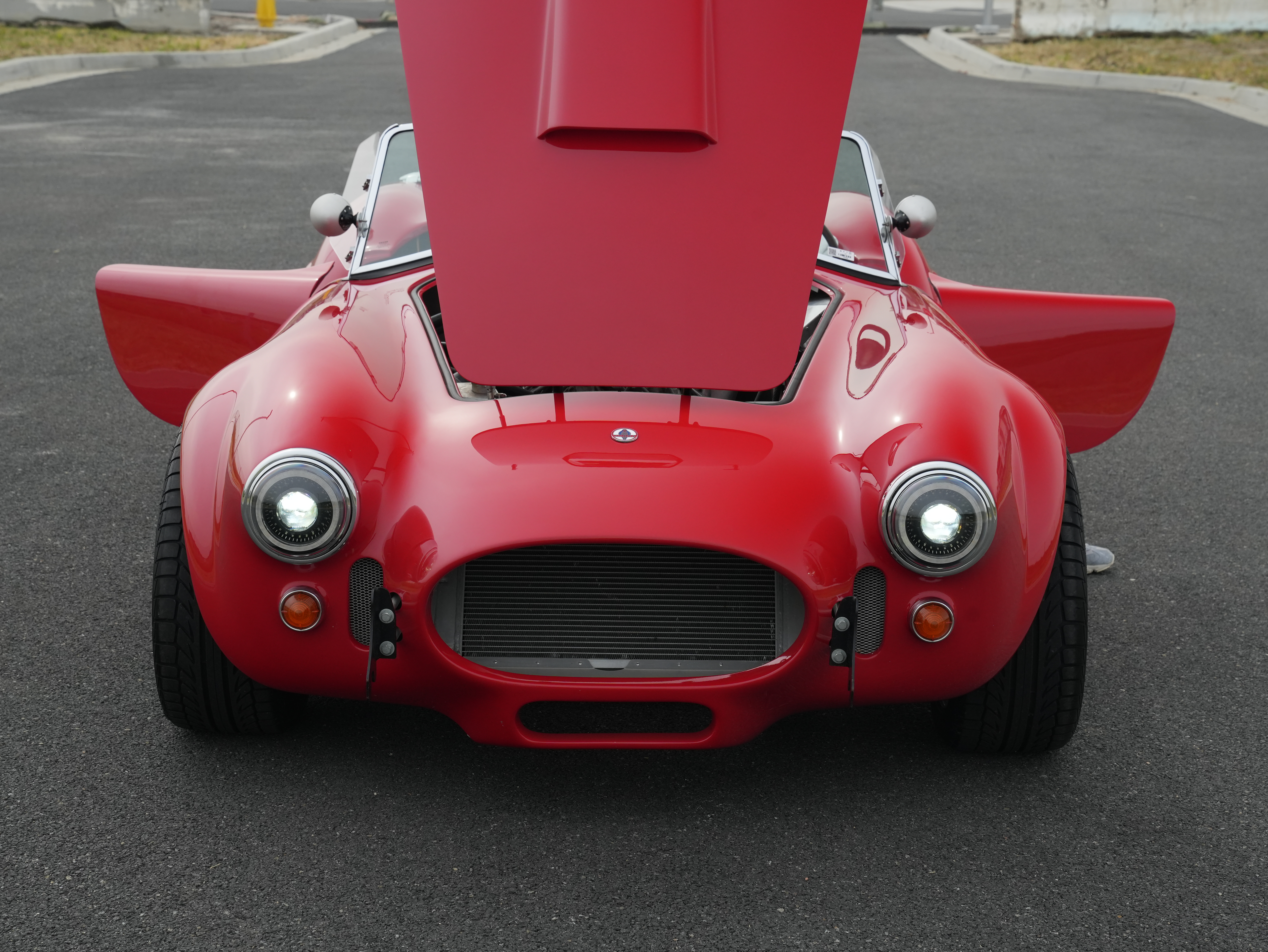 Shelby Cobra hood